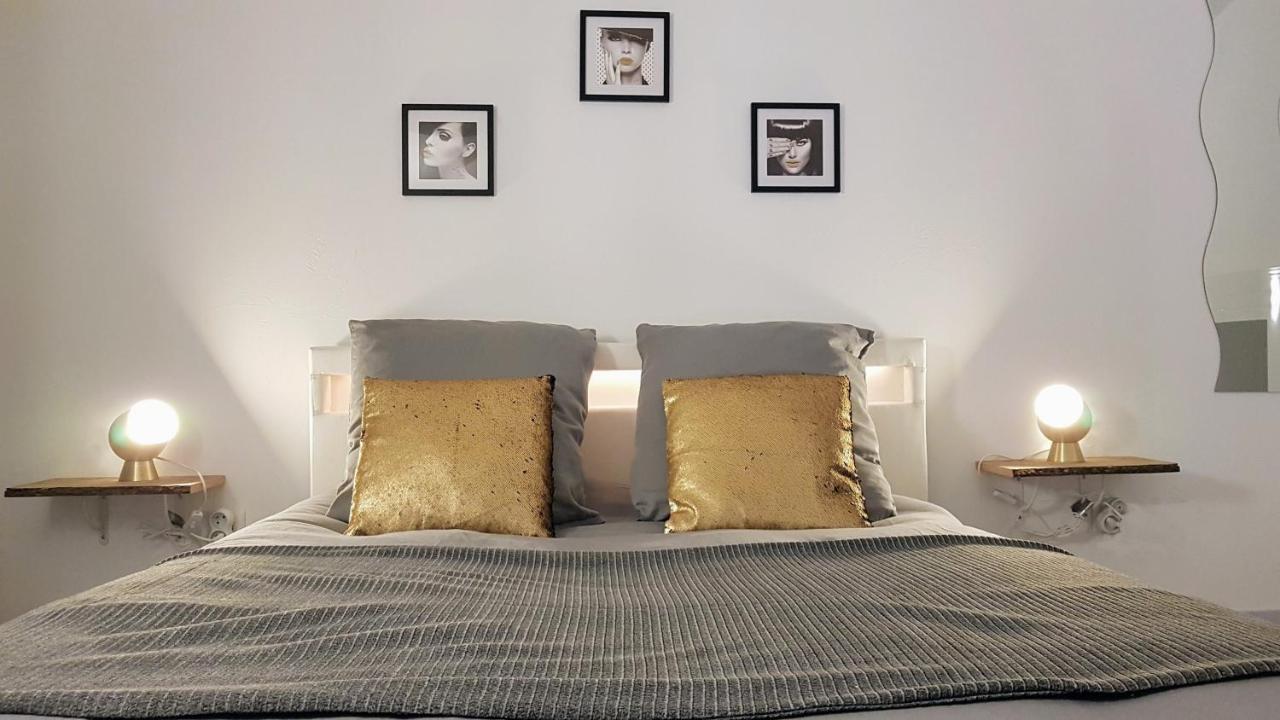 Les Nuits D'Anis - Appartements Hypercentre Le Puy-en-Velay エクステリア 写真