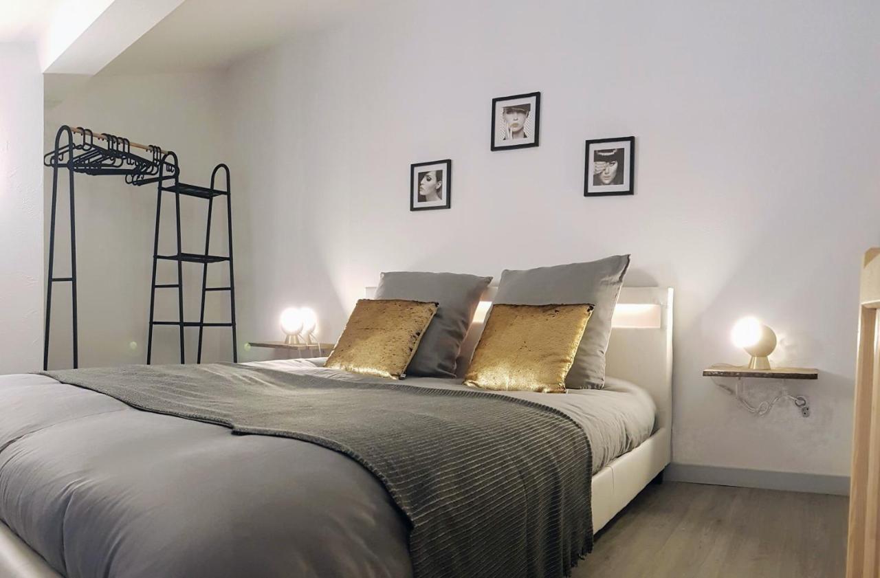 Les Nuits D'Anis - Appartements Hypercentre Le Puy-en-Velay エクステリア 写真