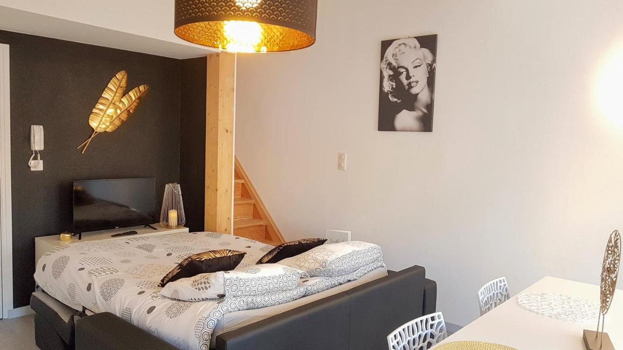 Les Nuits D'Anis - Appartements Hypercentre Le Puy-en-Velay エクステリア 写真