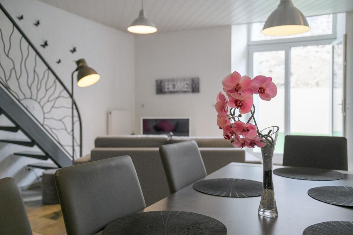Les Nuits D'Anis - Appartements Hypercentre Le Puy-en-Velay エクステリア 写真