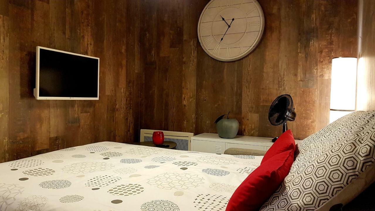 Les Nuits D'Anis - Appartements Hypercentre Le Puy-en-Velay エクステリア 写真