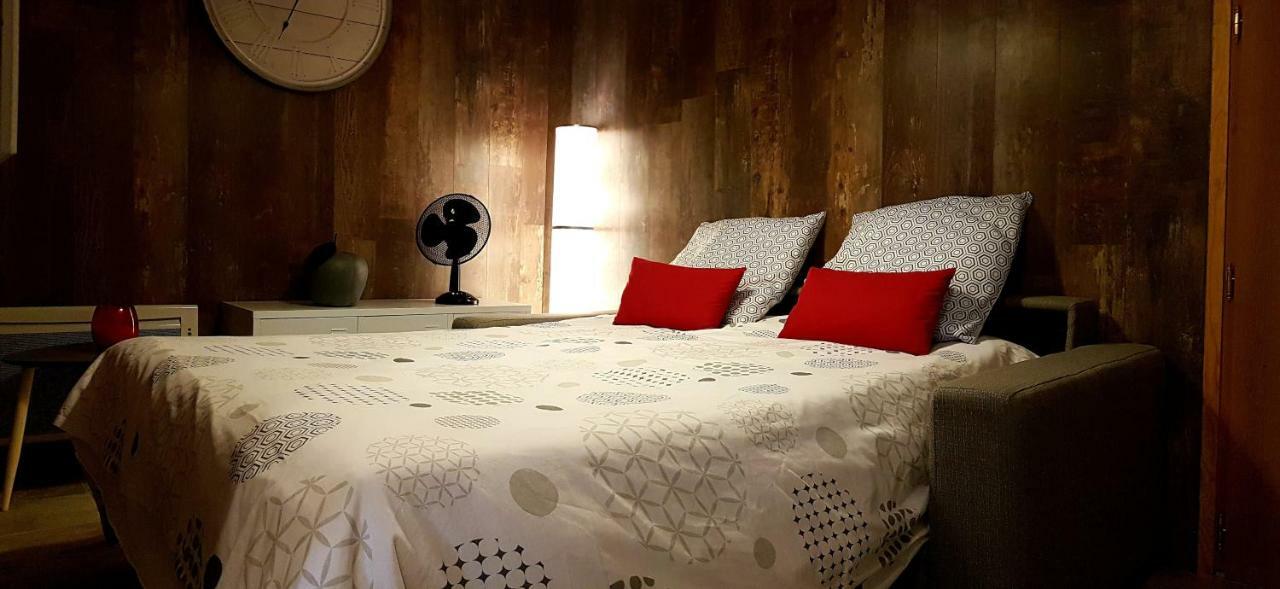 Les Nuits D'Anis - Appartements Hypercentre Le Puy-en-Velay エクステリア 写真